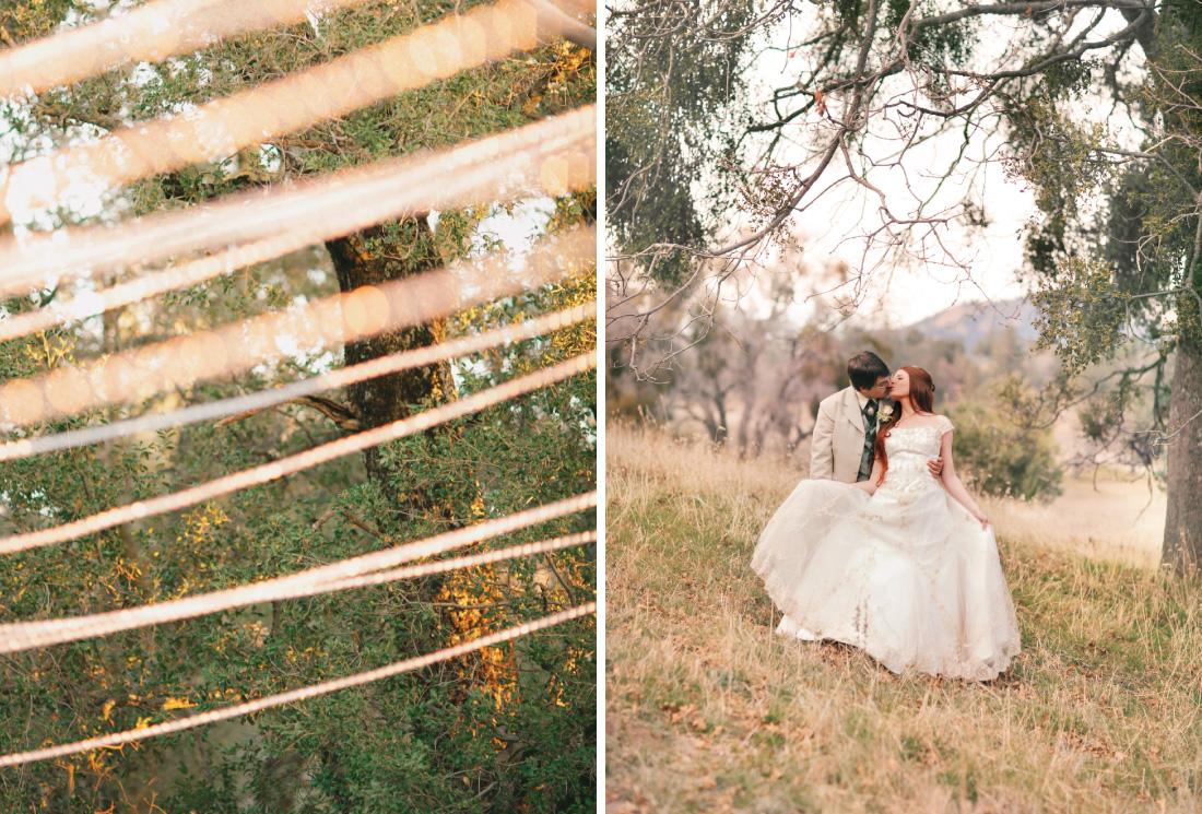 string light among trees, bride and groom kissing under mistletoe